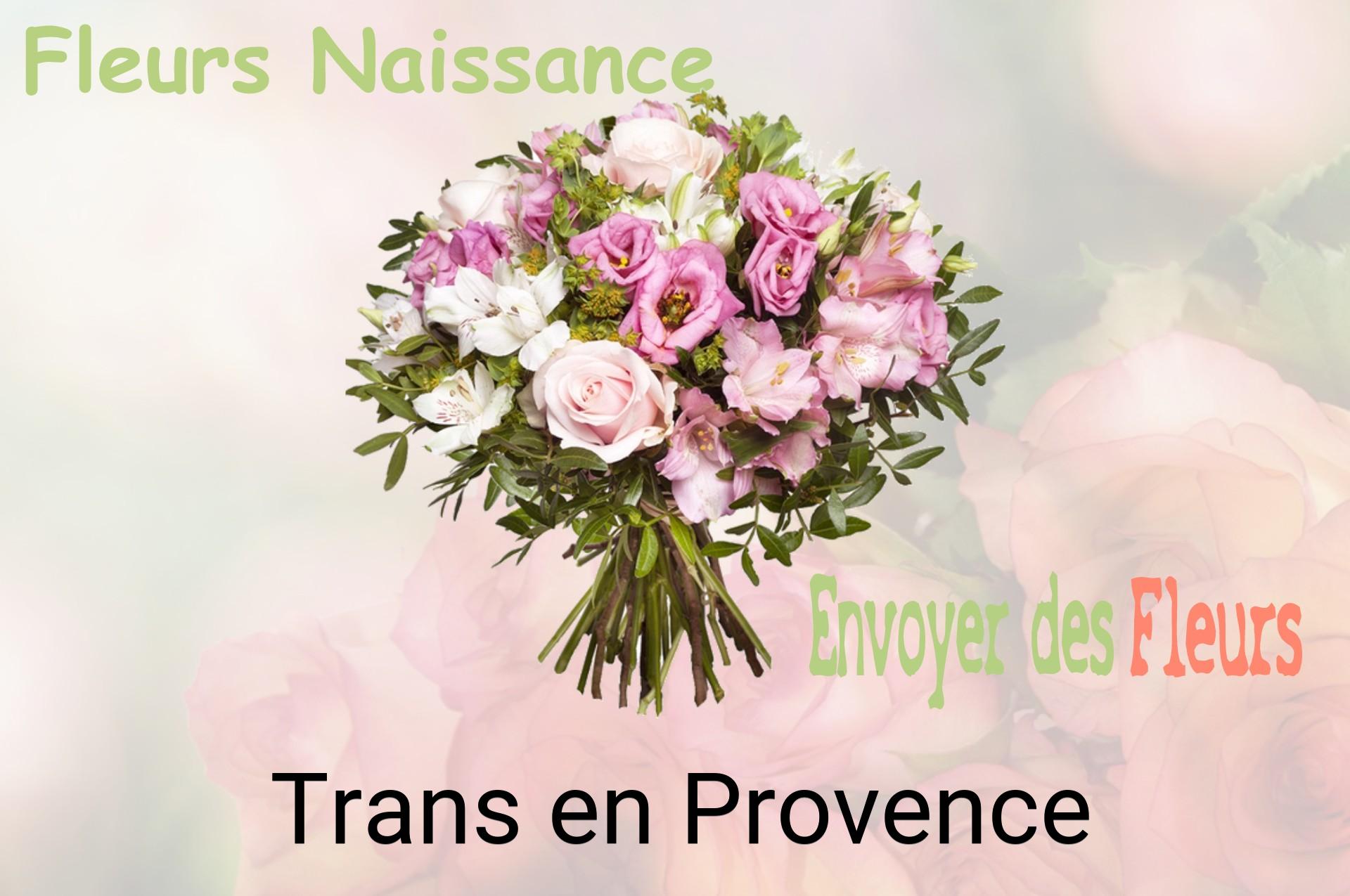 Bouquet de fleurs de naissance livré à Trans-en-Provence