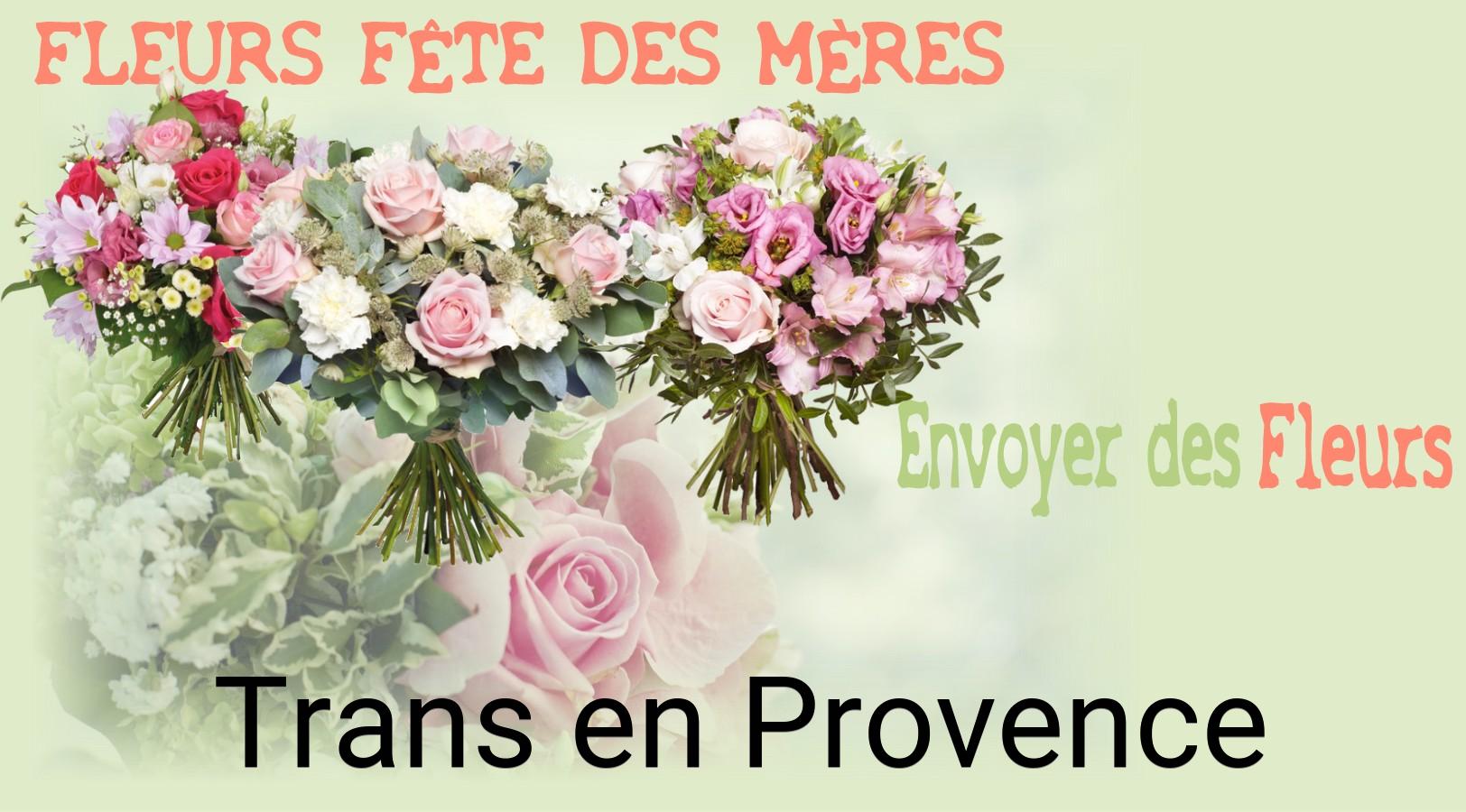 Bouquet de Fête des Mères livré à Trans-en-Provence